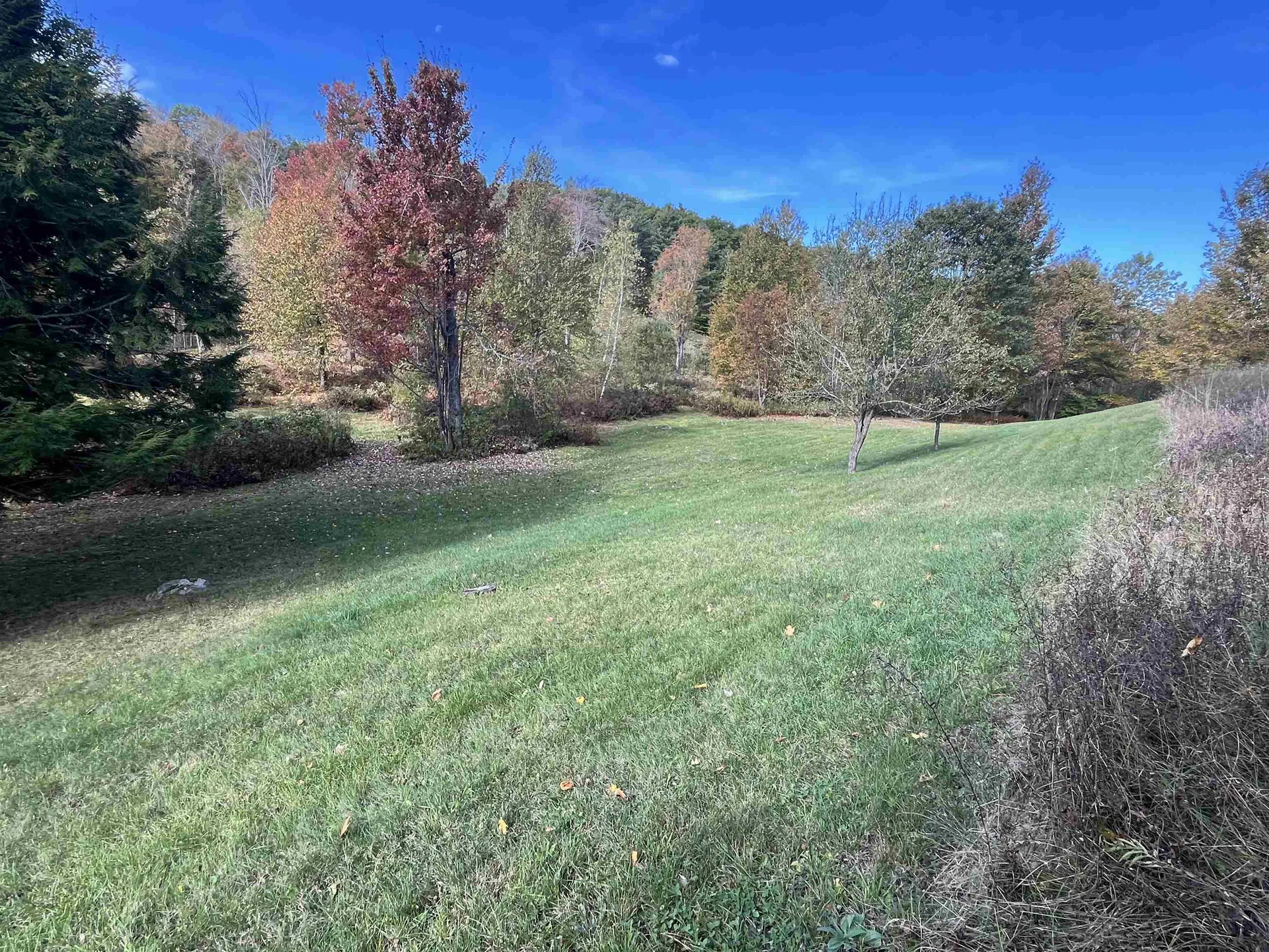 2383 Birch Hill Road Brandon VT 05733