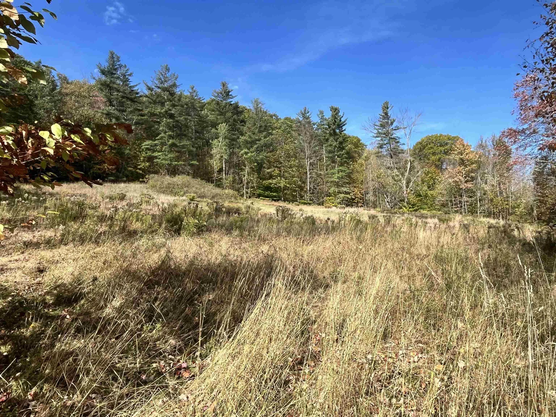 2383 Birch Hill Road Brandon VT 05733