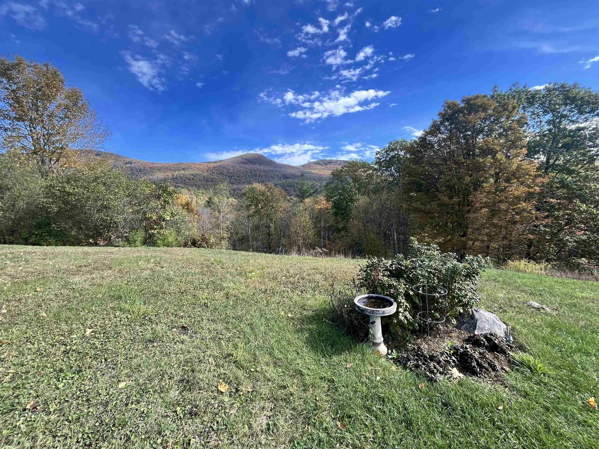 2383 Birch Hill Road Brandon VT 05733