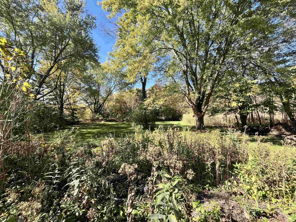 927 Carver Street Brandon VT 05733