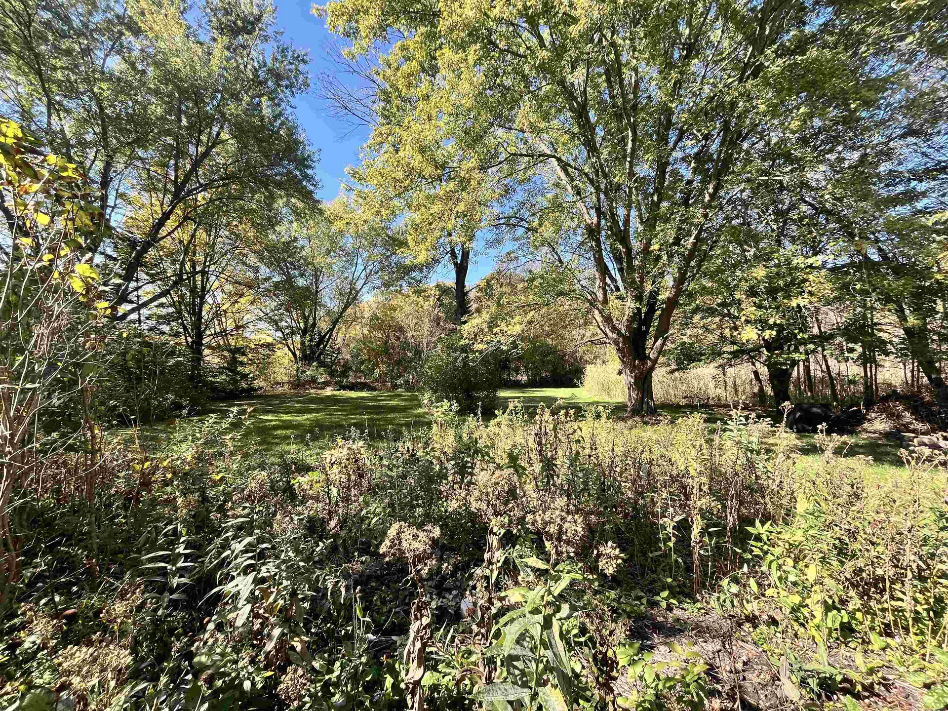 927 Carver Street Brandon VT 05733