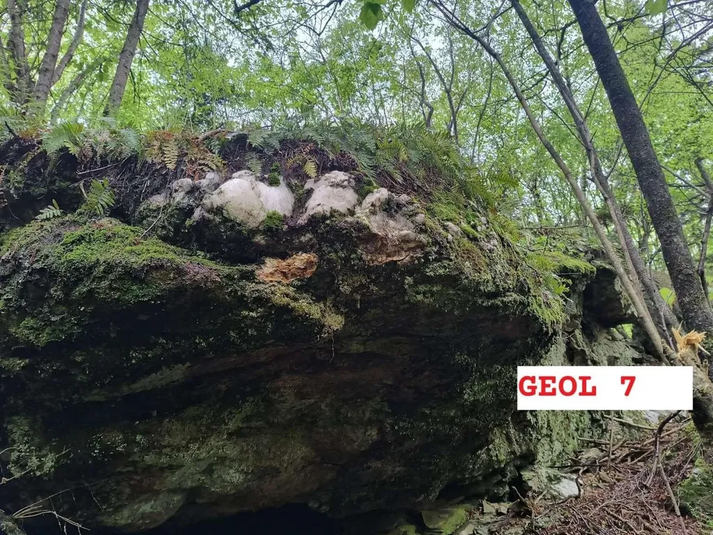 495 Mica Mine Road Unity NH 03743