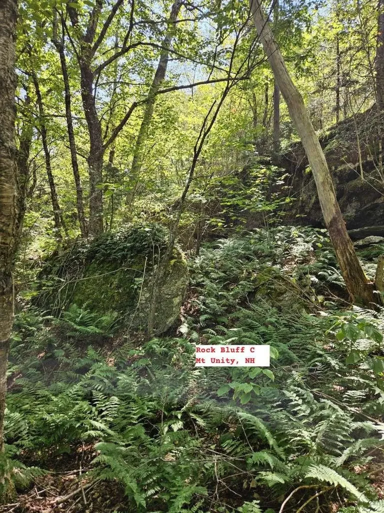 495 Mica Mine Road Unity NH 03743