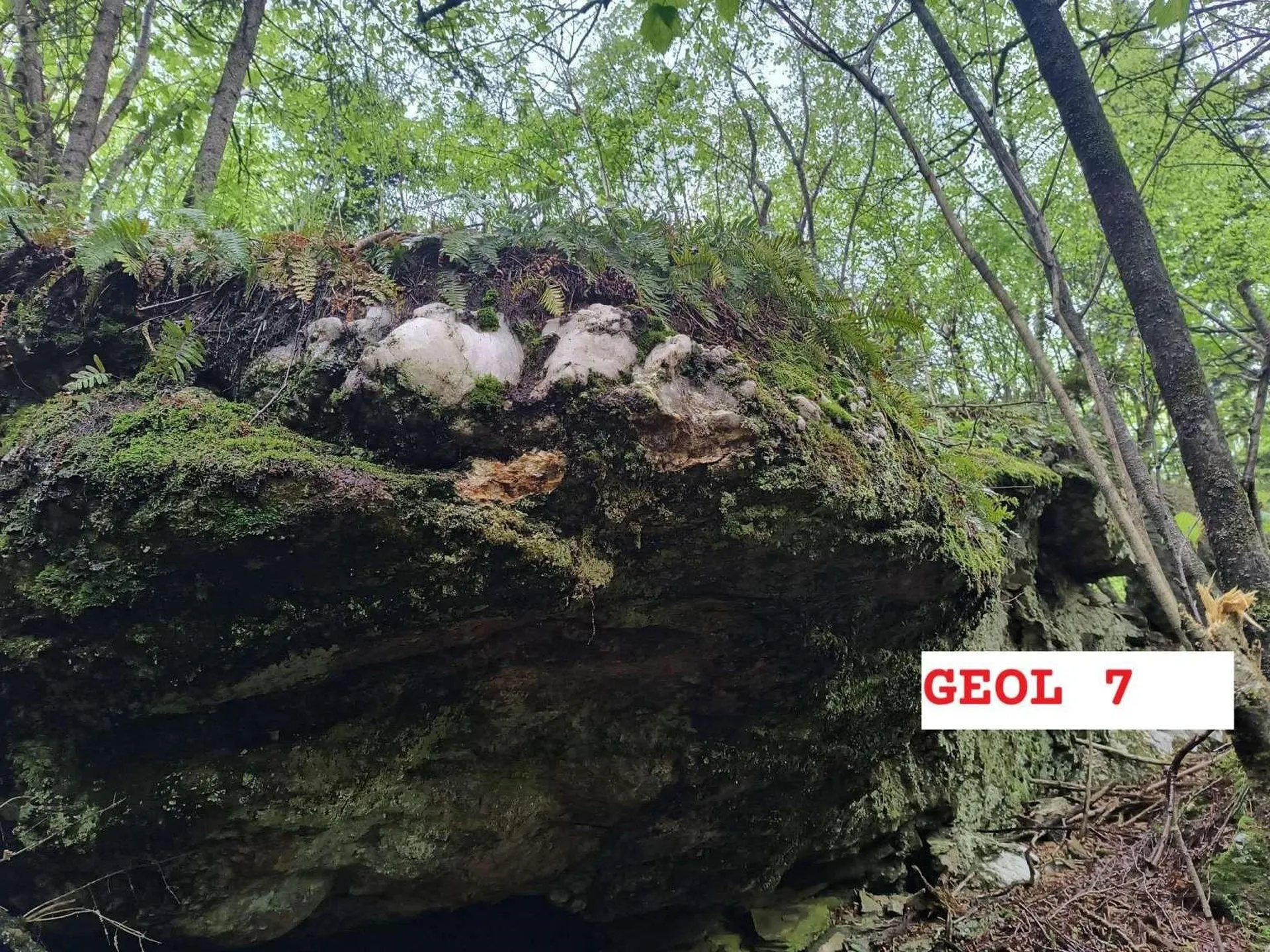 495 Mica Mine Road Unity NH 03743