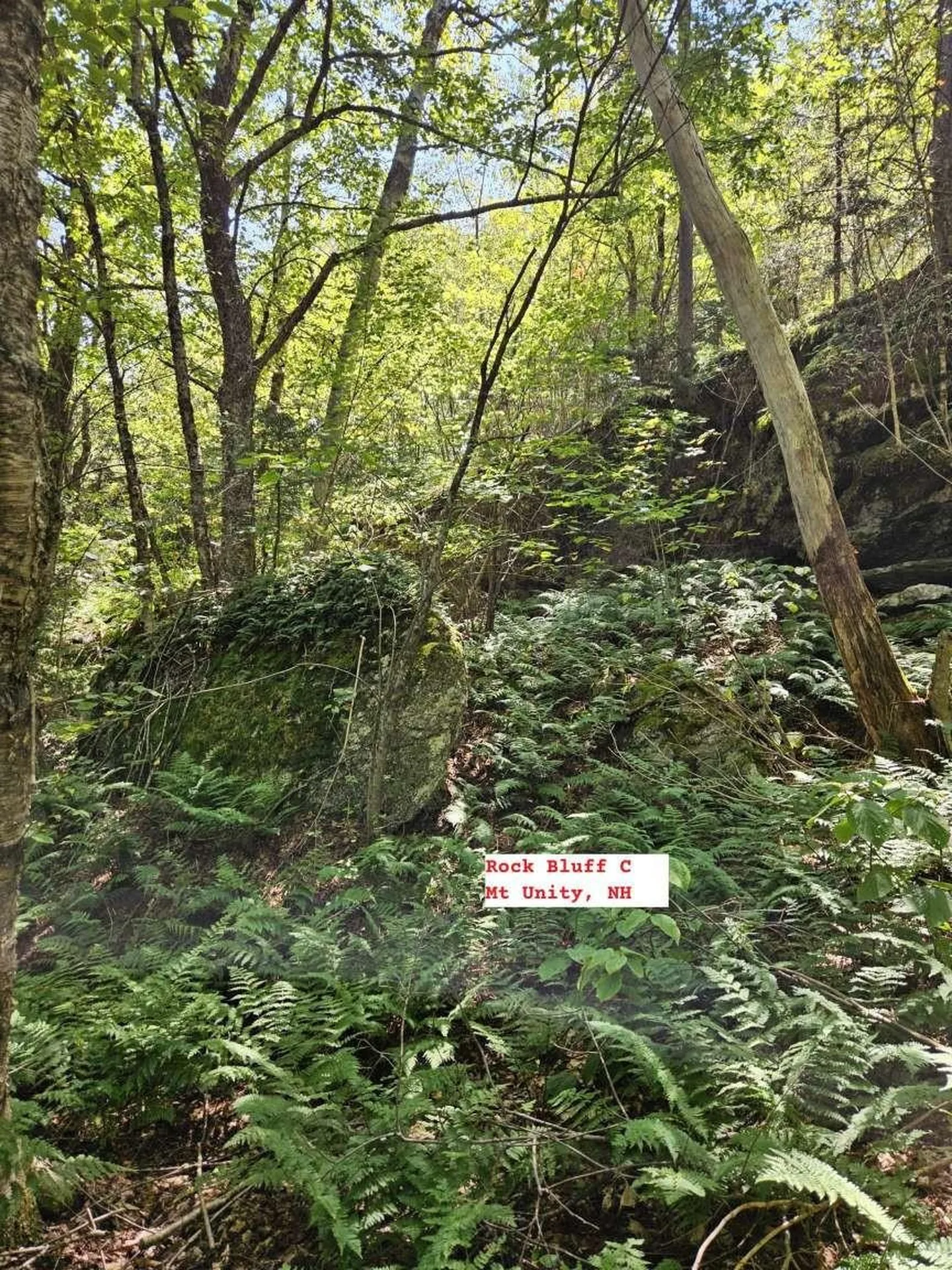 495 Mica Mine Road Unity NH 03743