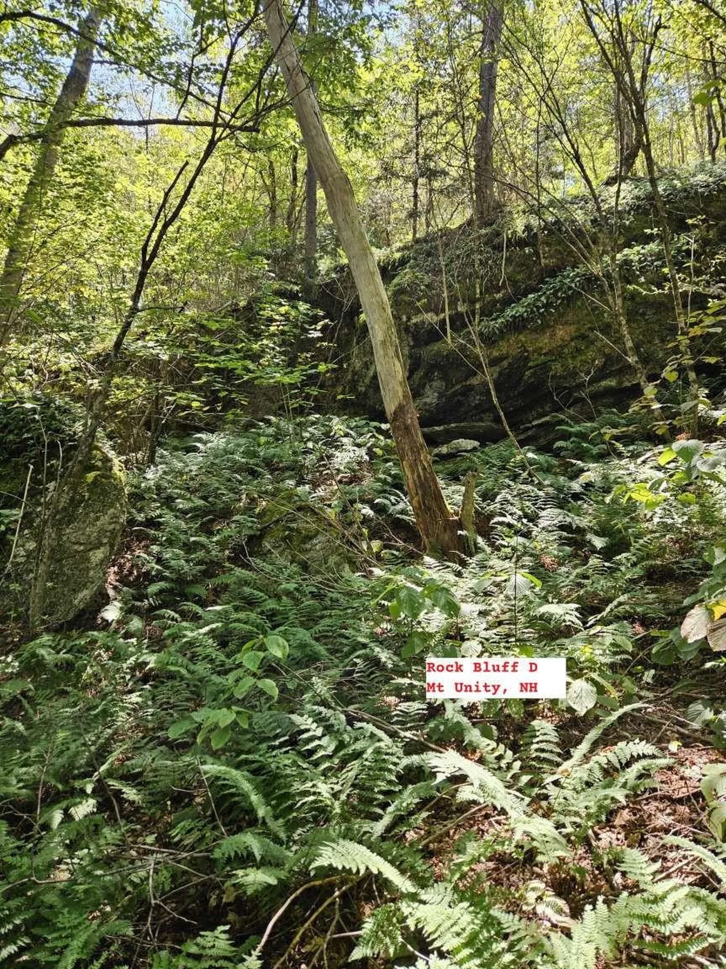 495 Mica Mine Road Unity NH 03743