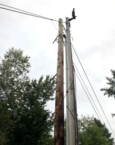 495 Mica Mine Road Unity NH 03743