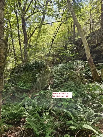 495 Mica Mine Road Unity NH 03743