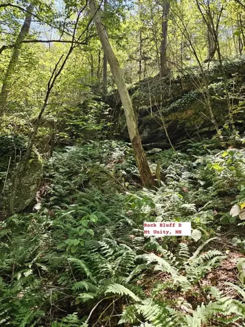 495 Mica Mine Road Unity NH 03743