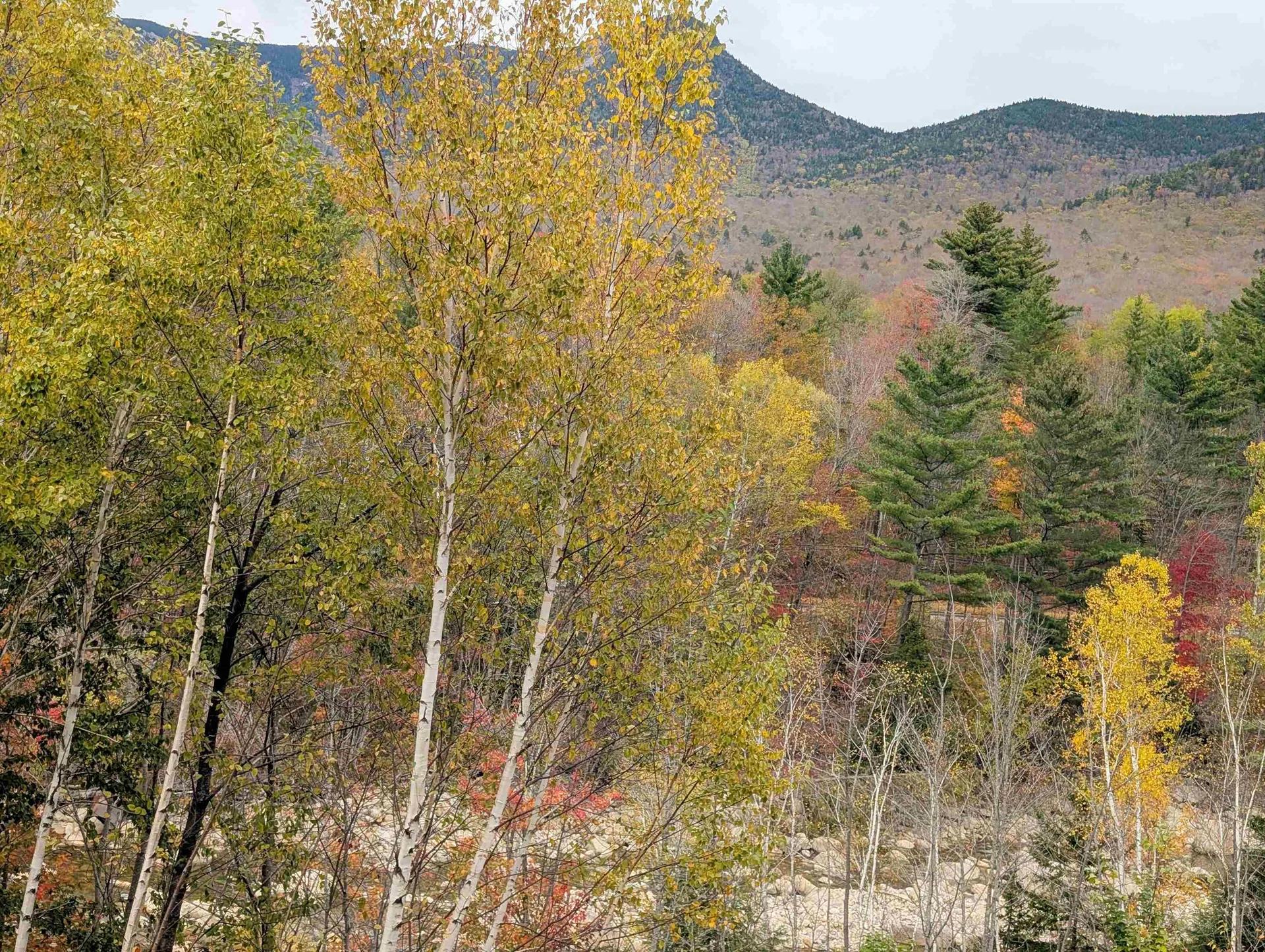 90 Loon Mountain Road Lincoln NH 03251