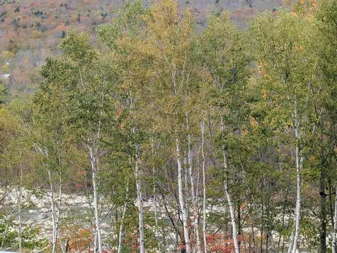 90 Loon Mountain Road Lincoln NH 03251