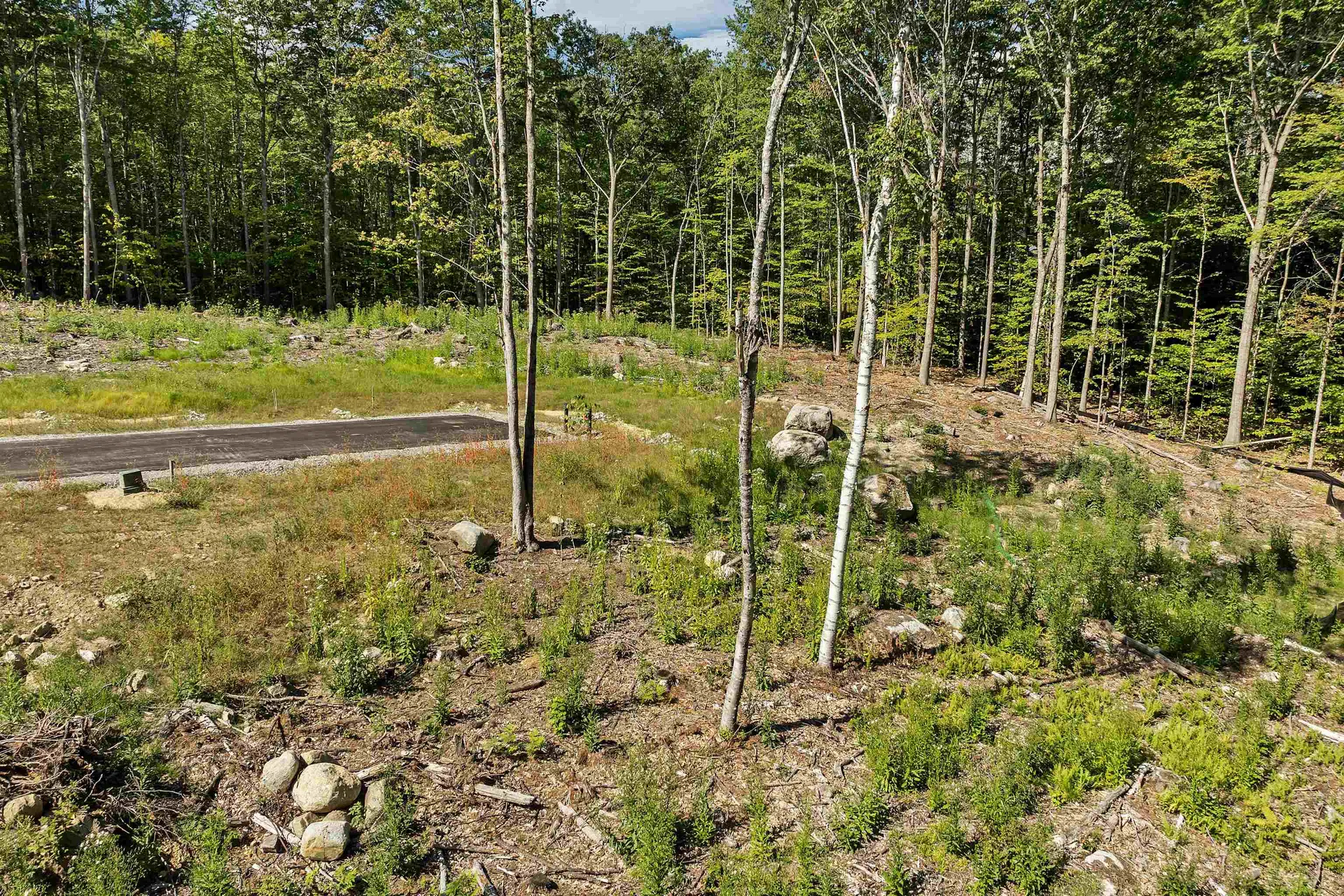 45 Stern Castle Place Laconia NH 03246