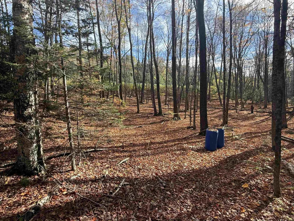 9 Sun And Ski Road Wilmington VT 05363