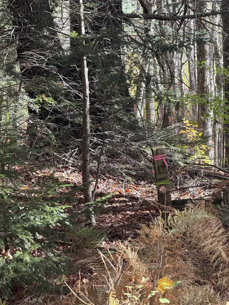 9 Sun And Ski Road Wilmington VT 05363