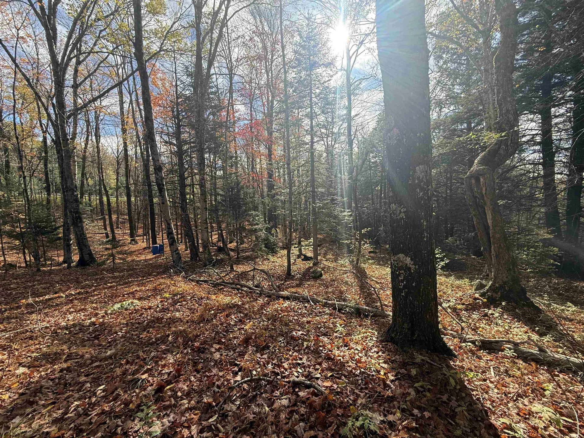 9 Sun And Ski Road Wilmington VT 05363