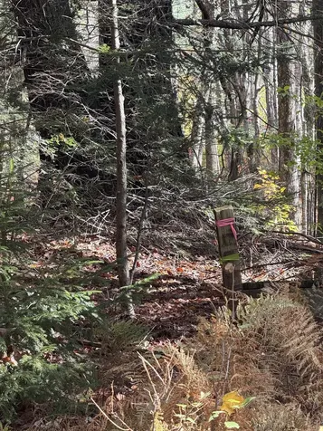 9 Sun And Ski Road Wilmington VT 05363