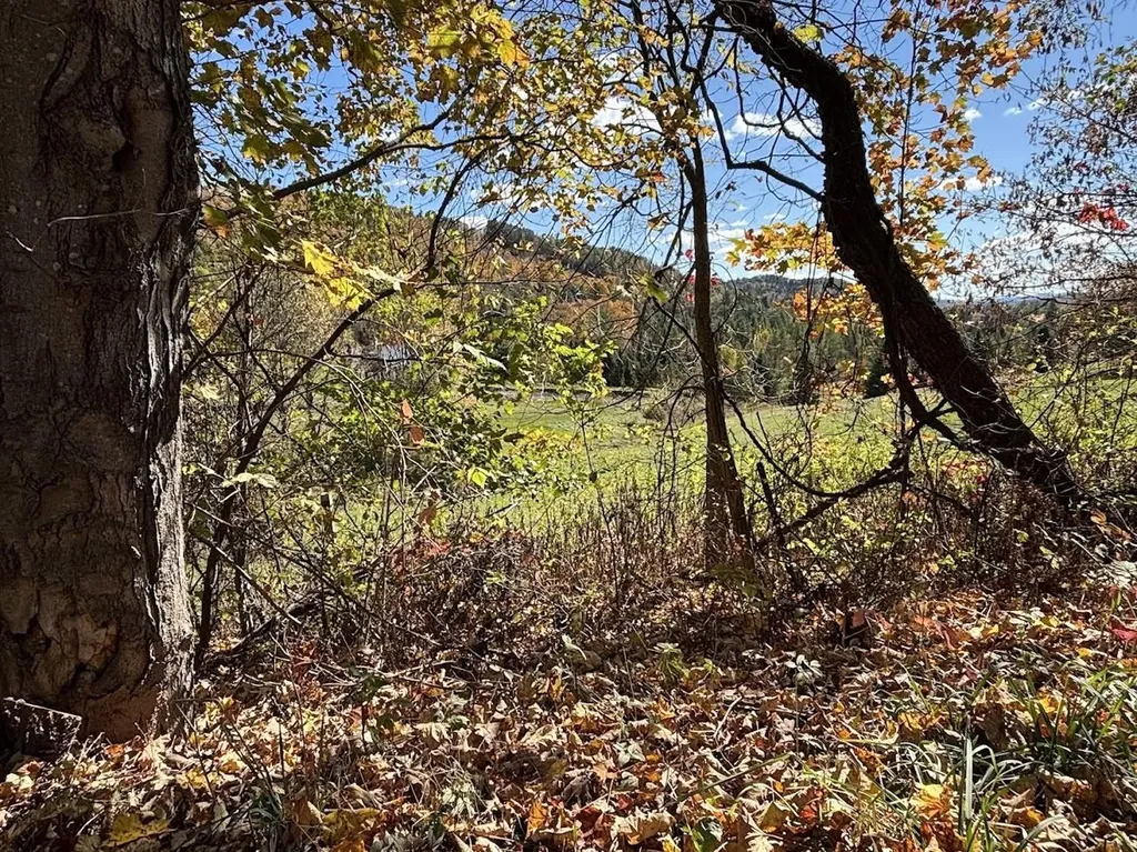 16 Gus Run Lyndon VT 05851