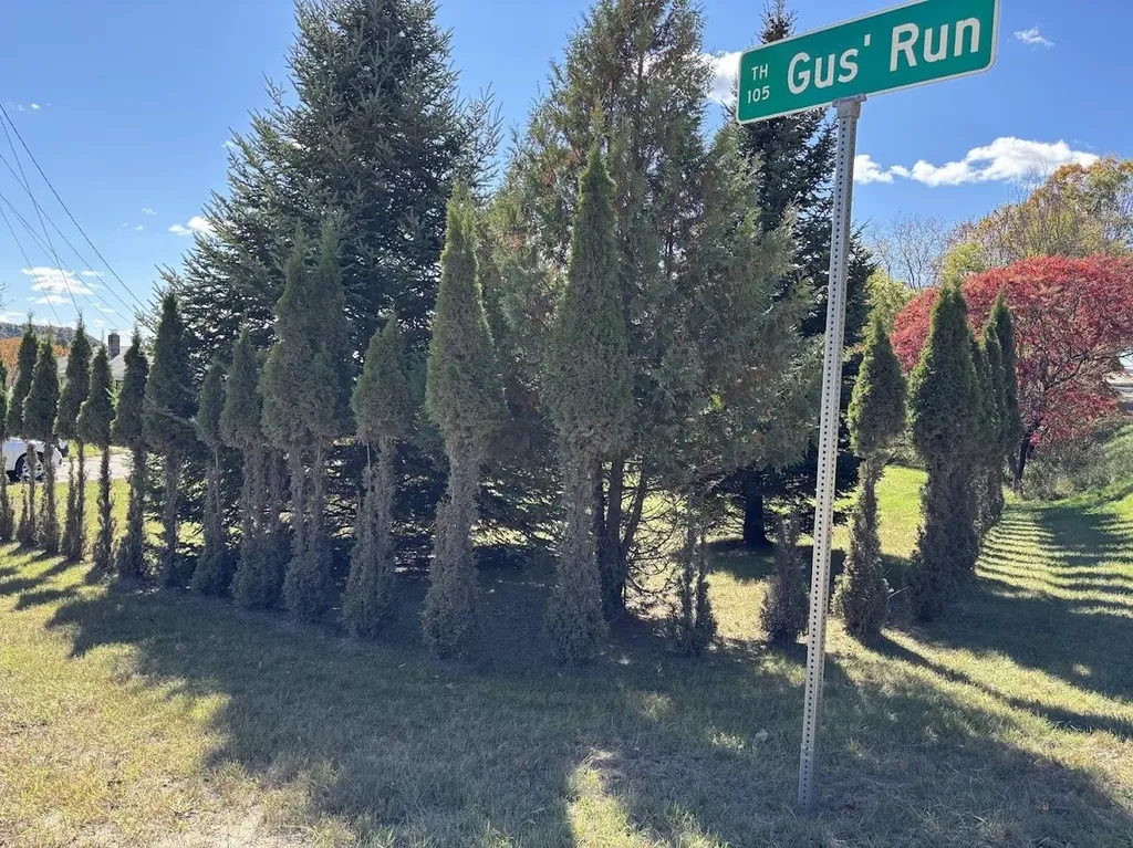 16 Gus Run Lyndon VT 05851