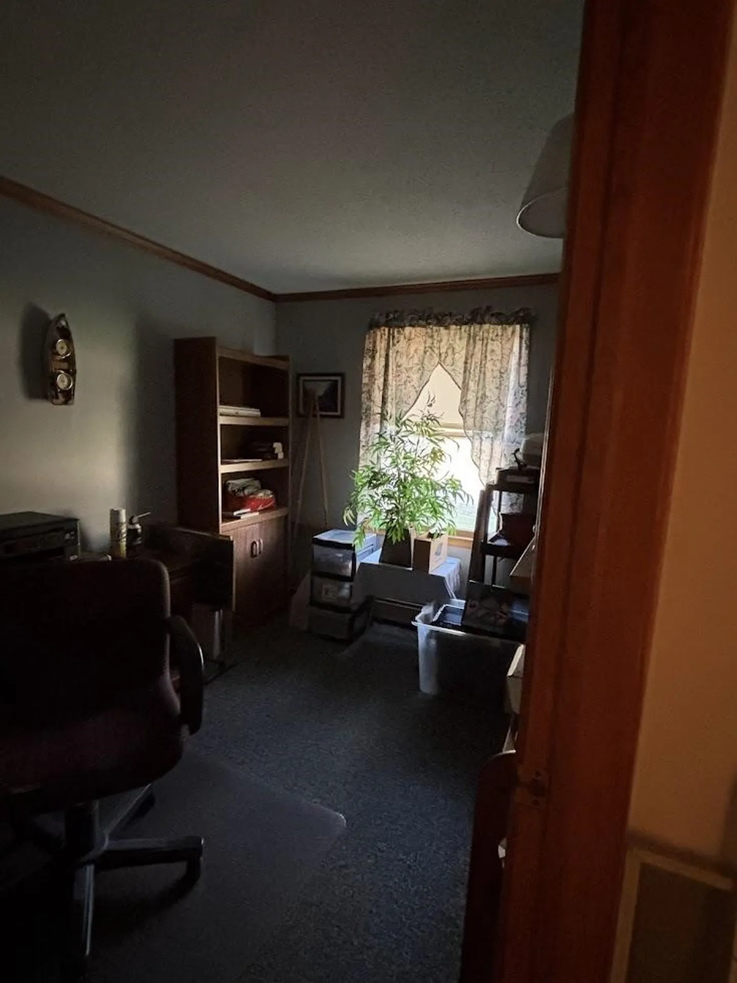 16 Gus Run Lyndon VT 05851