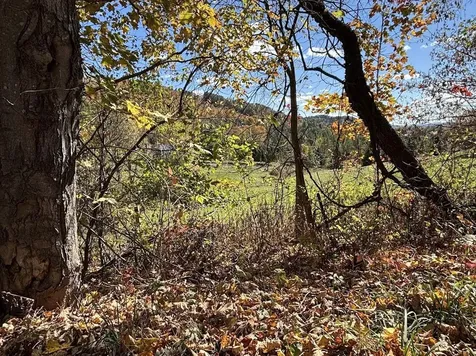 16 Gus Run Lyndon VT 05851