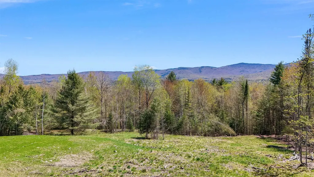 1128 Moulton Lane Stowe VT 05672