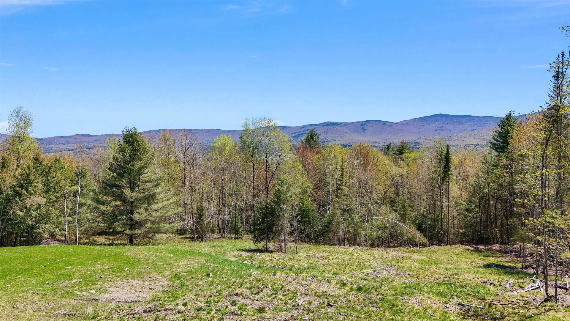 1128 Moulton Lane Stowe VT 05672