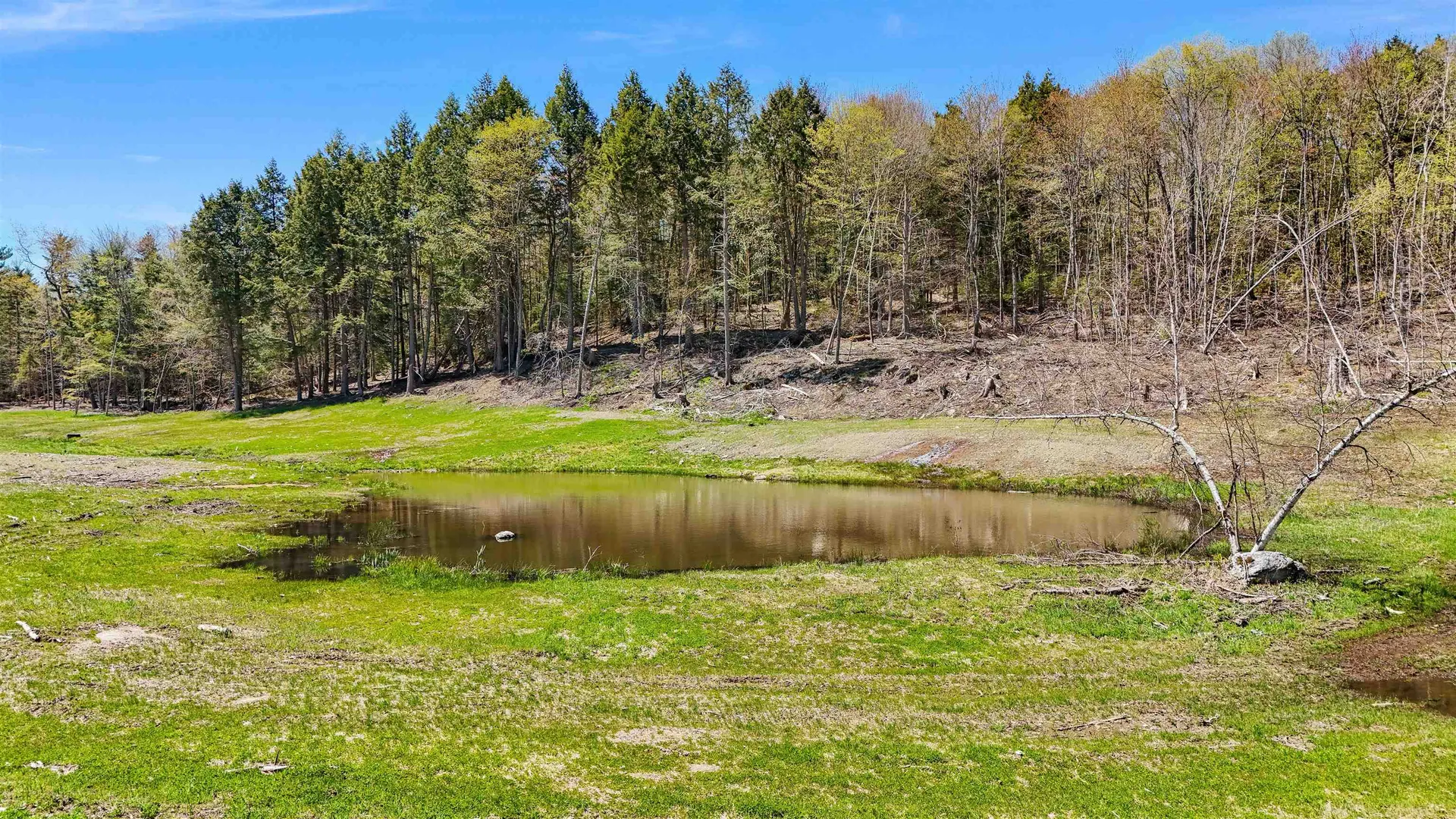 1128 Moulton Lane Stowe VT 05672