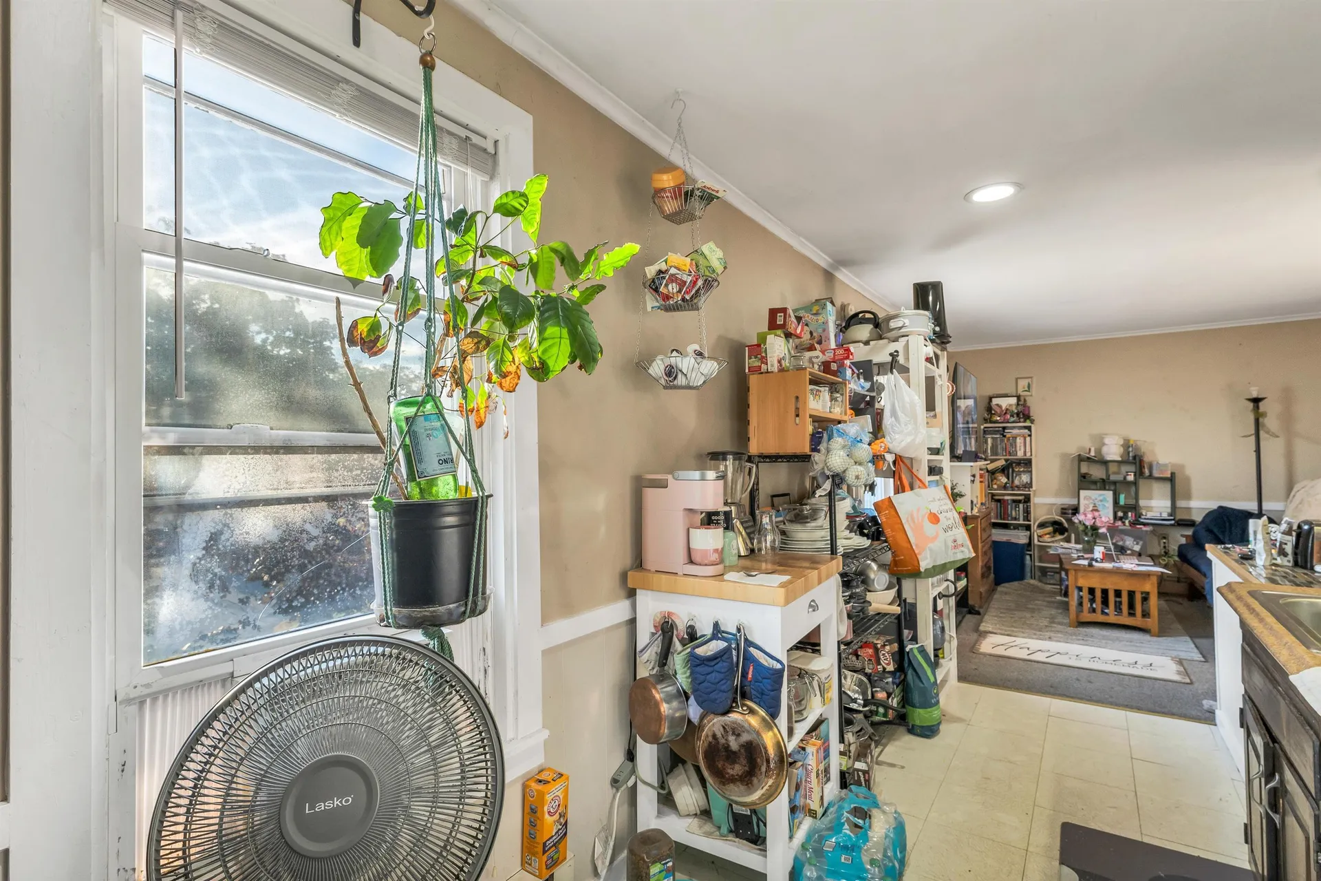 6 Main Street Conway NH 03818