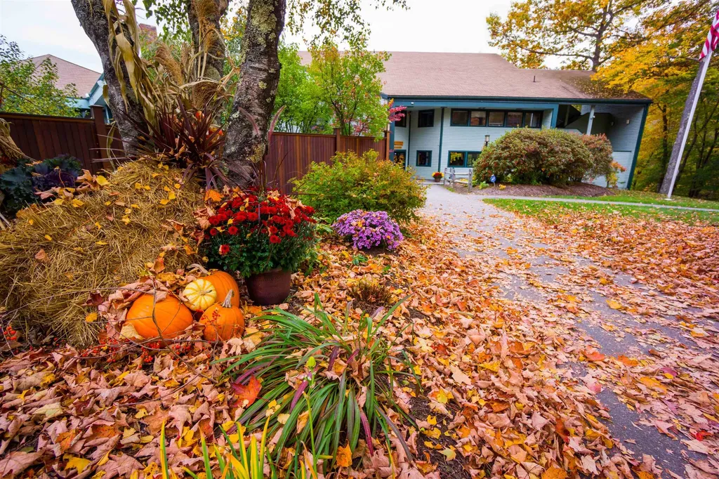 E-15 David Thompson Drive Campton NH 03223