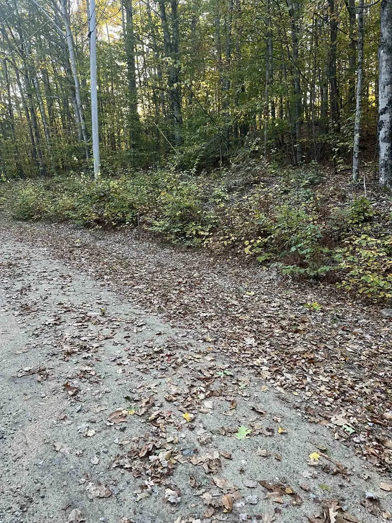 E-15 David Thompson Drive Campton NH 03223