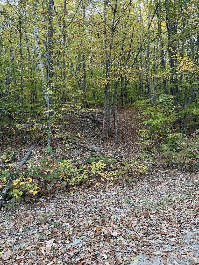 E-15 David Thompson Drive Campton NH 03223