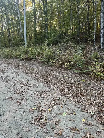 E-15 David Thompson Drive Campton NH 03223