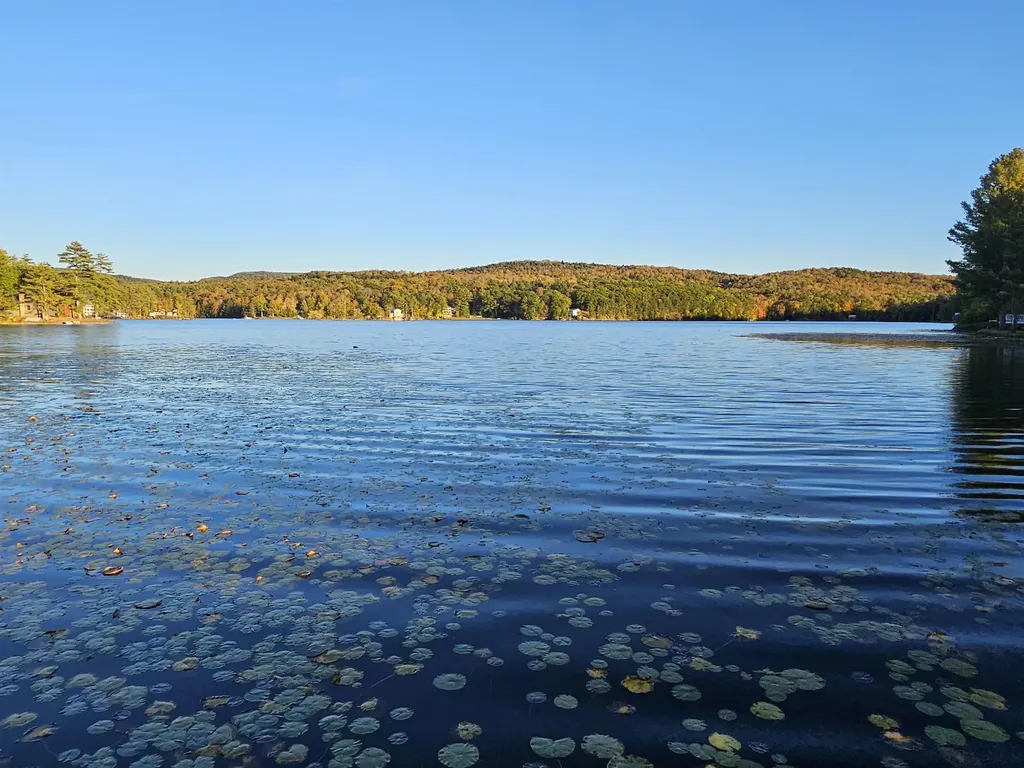 96 Lhcs Road Hubbardton VT 05735