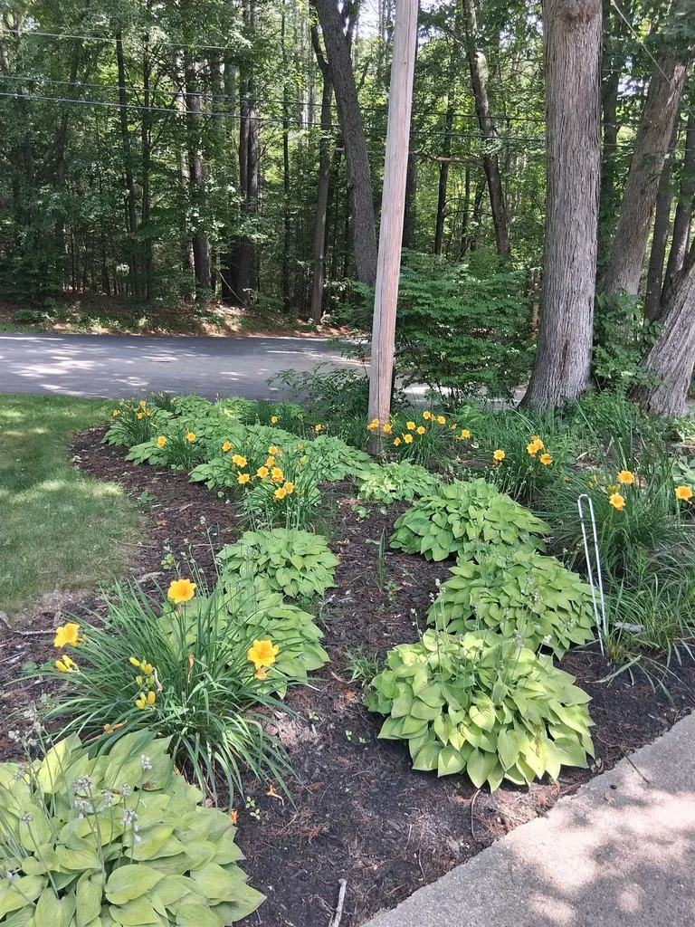 43 Maple Avenue Newton NH 03858