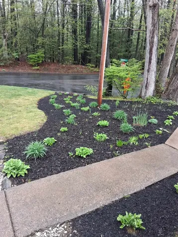 43 Maple Avenue Newton NH 03858