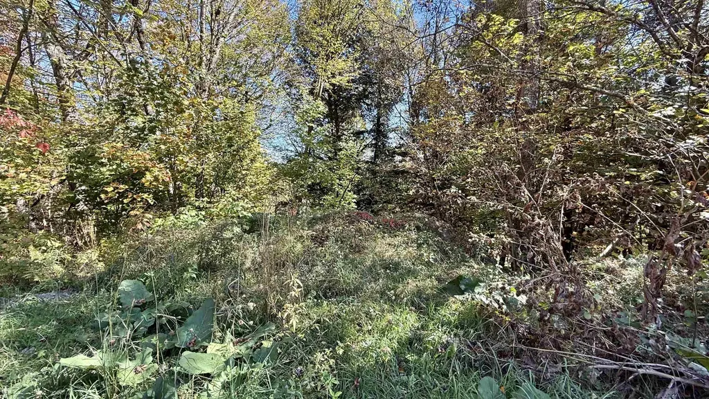 212 Hillcrest Drive Johnson VT 05656