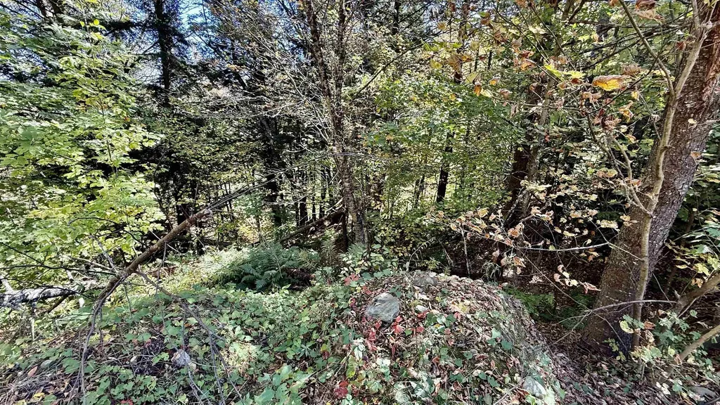 212 Hillcrest Drive Johnson VT 05656