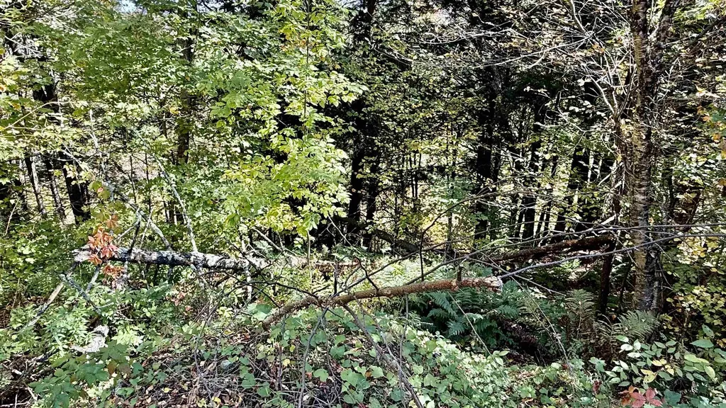 212 Hillcrest Drive Johnson VT 05656