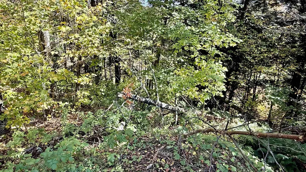 212 Hillcrest Drive Johnson VT 05656