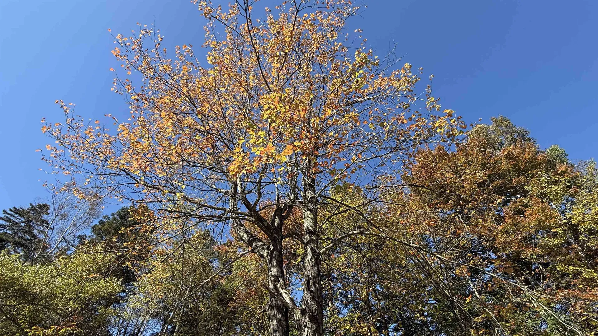 212 Hillcrest Drive Johnson VT 05656