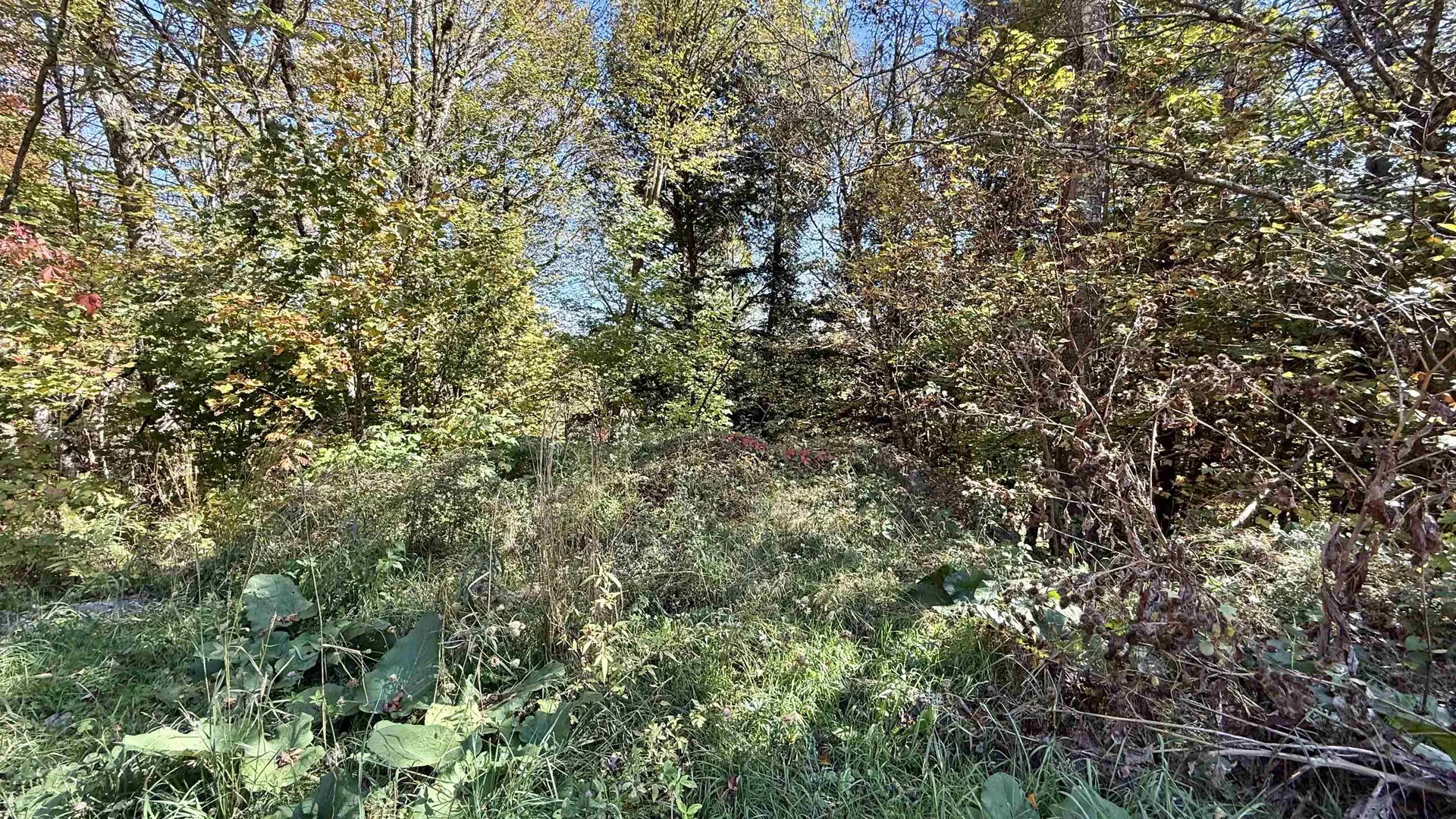 212 Hillcrest Drive Johnson VT 05656