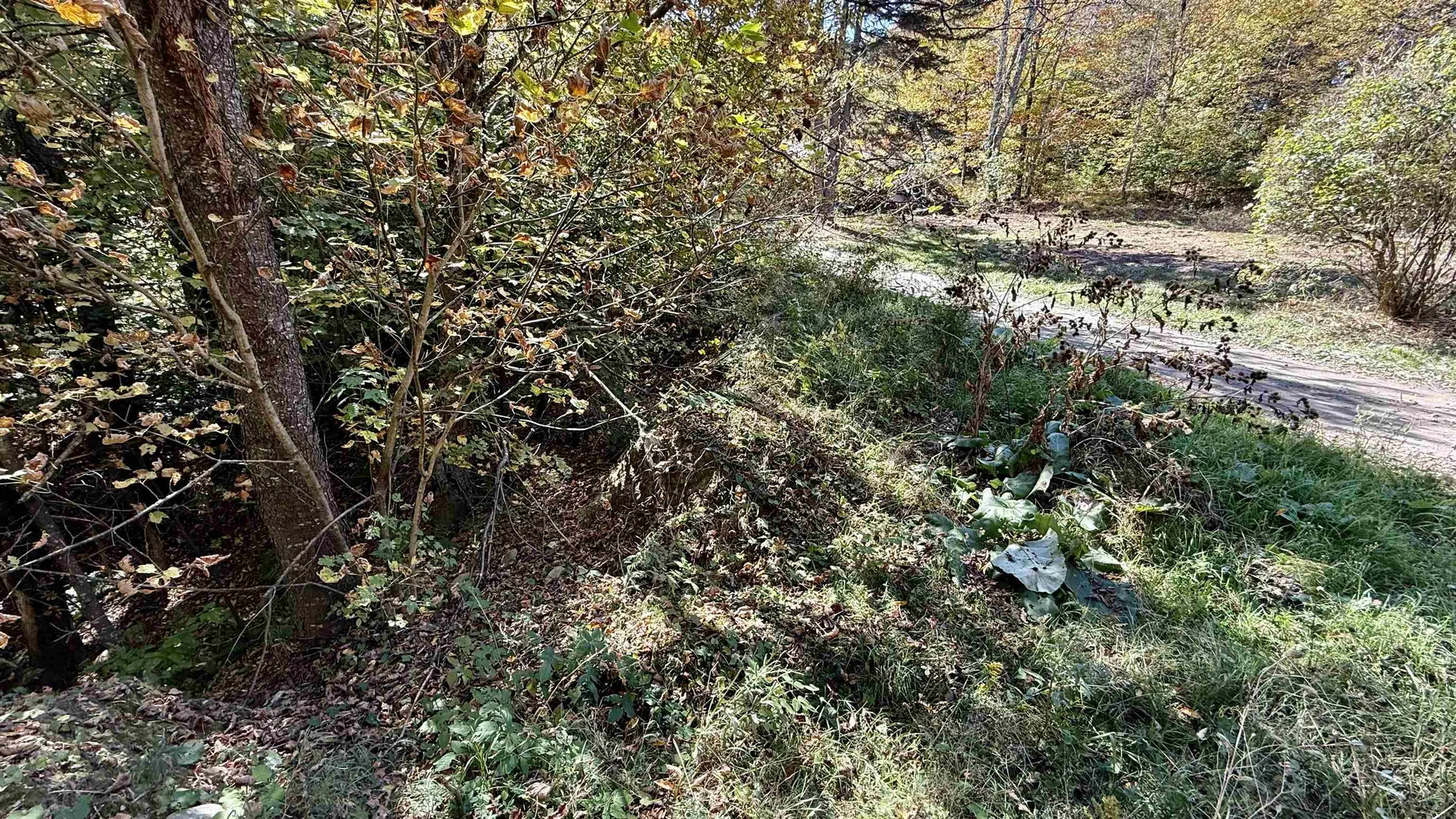 212 Hillcrest Drive Johnson VT 05656