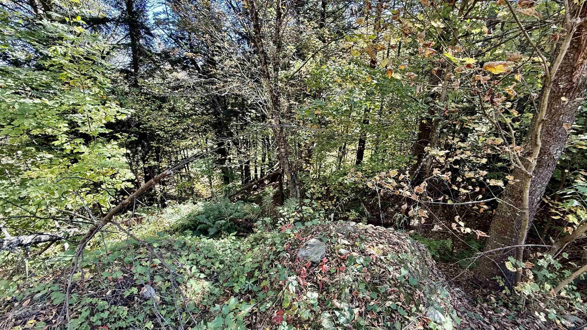 212 Hillcrest Drive Johnson VT 05656