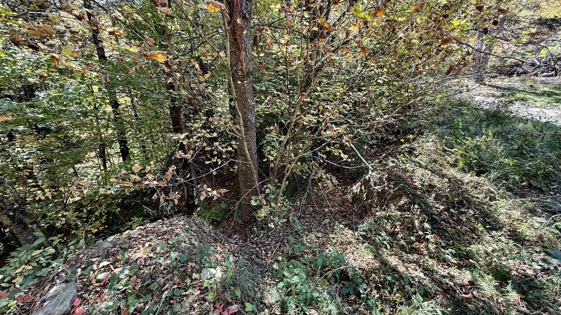 212 Hillcrest Drive Johnson VT 05656