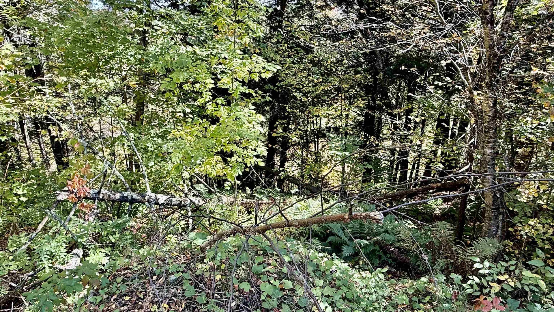 212 Hillcrest Drive Johnson VT 05656