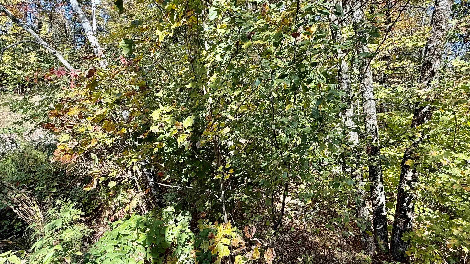 212 Hillcrest Drive Johnson VT 05656