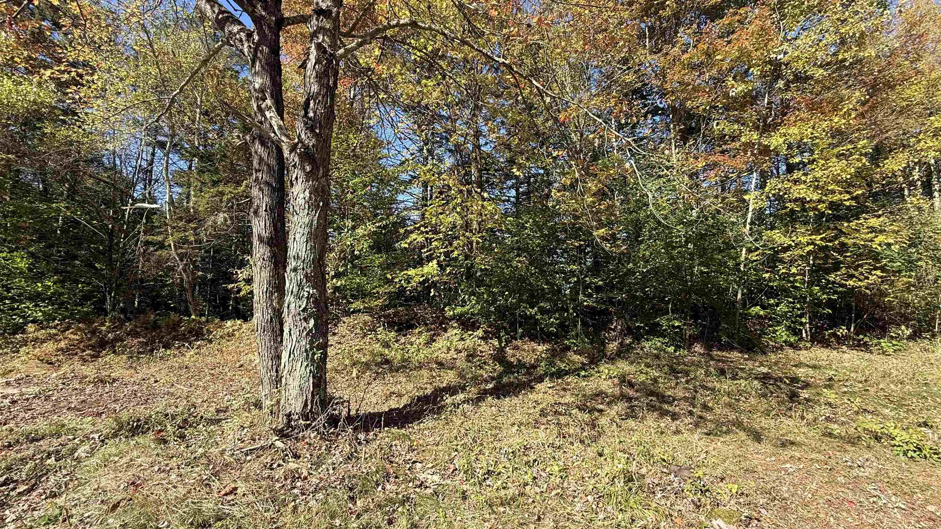 212 Hillcrest Drive Johnson VT 05656