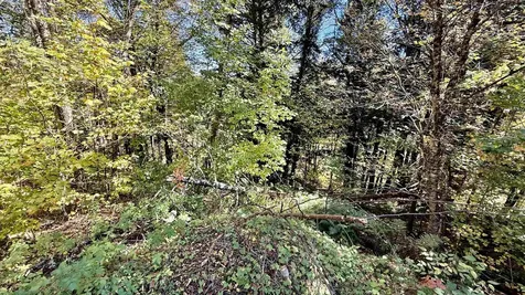 212 Hillcrest Drive Johnson VT 05656