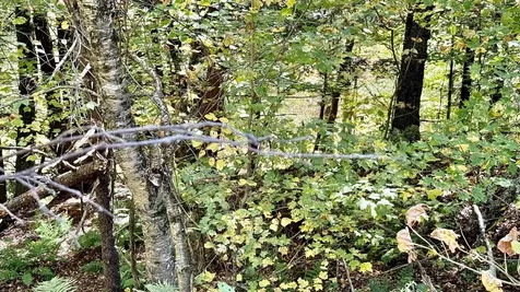 212 Hillcrest Drive Johnson VT 05656