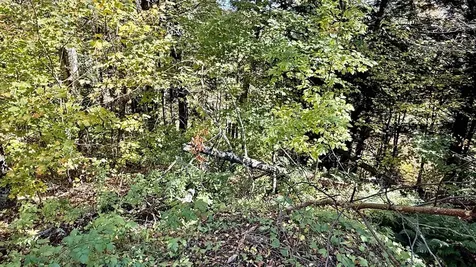 212 Hillcrest Drive Johnson VT 05656